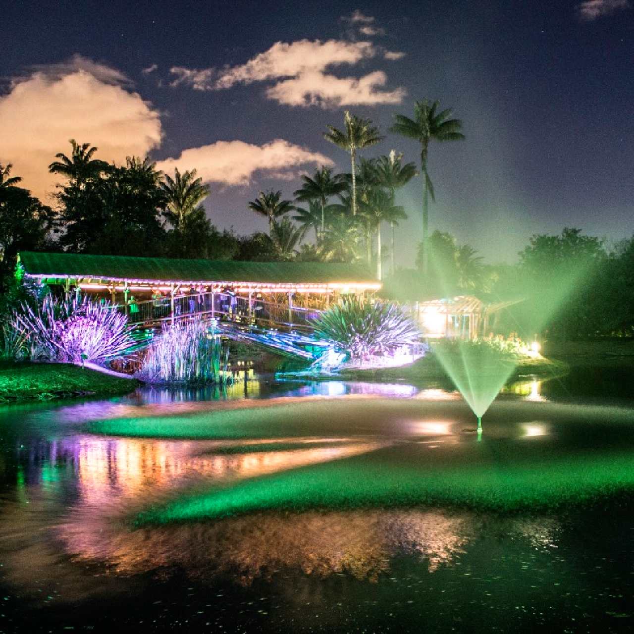 Hoy viernes regresa el Jardín Botánico de noche gratis: ¡No te lo pierdas!